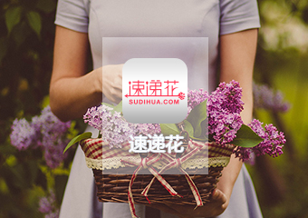 【速递花】鲜花配送APP案例